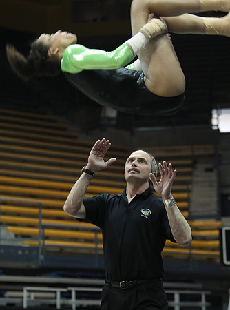UAA Gymnastics