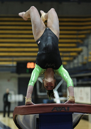 UAA Gymnastics