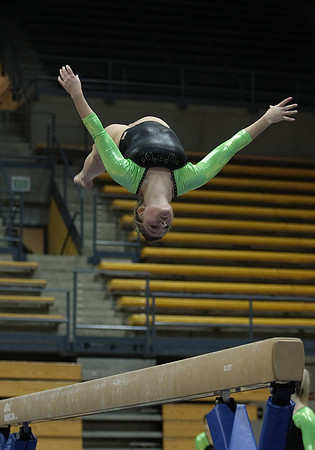 UAA Gymnastics