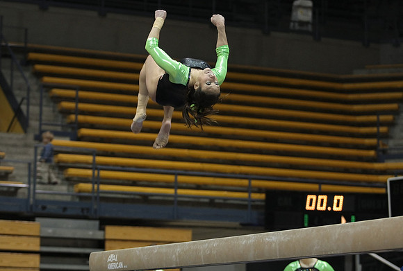 UAA Gymnastics