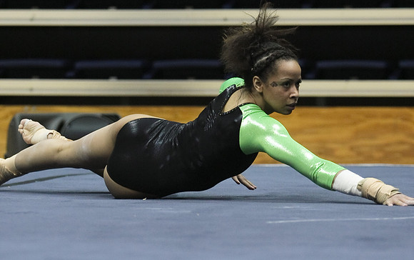 UAA Gymnastics