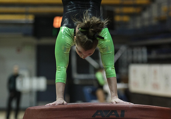 UAA Gymnastics