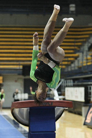 UAA Gymnastics