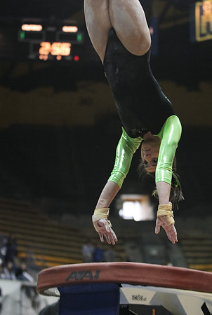 UAA Gymnastics