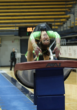 UAA Gymnastics