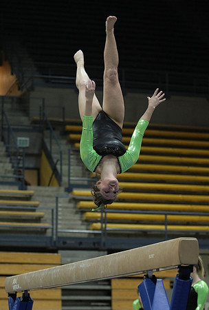 UAA Gymnastics