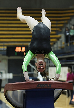 UAA Gymnastics