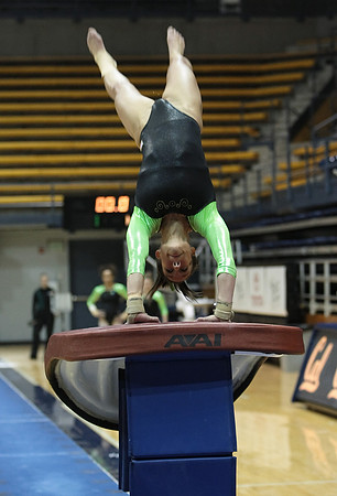 UAA Gymnastics