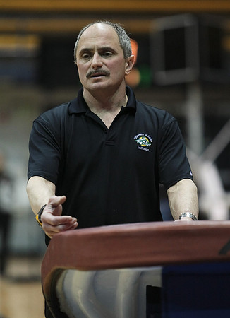 UAA Gymnastics