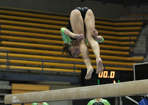 UAA Gymnastics