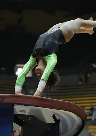 UAA Gymnastics