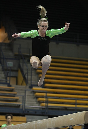 UAA Gymnastics