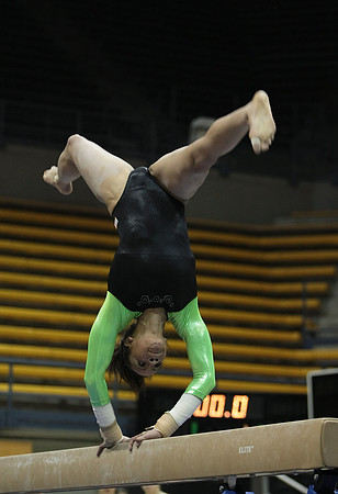UAA Gymnastics