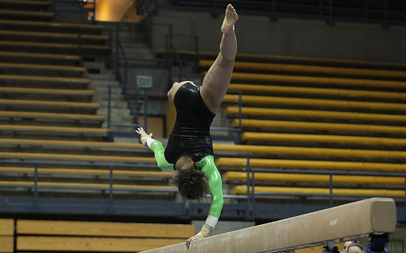 UAA Gymnastics