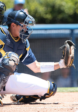 Cal Baseball vs UCLA