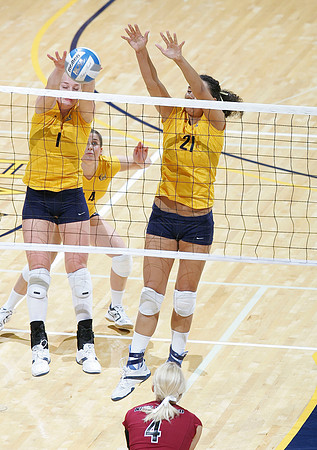 Cal Volleyball vs New Mexico