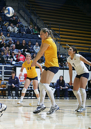 Cal Volleyball vs New Mexico