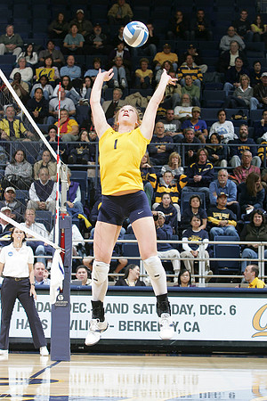 Cal Volleyball vs New Mexico