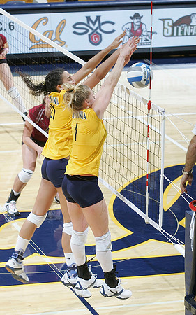 Cal Volleyball vs New Mexico