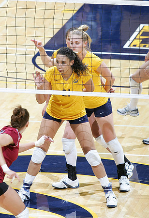 Cal Volleyball vs New Mexico