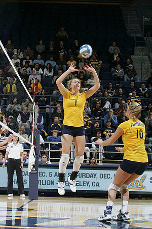 Cal Volleyball vs New Mexico