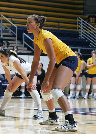 Cal Volleyball vs New Mexico
