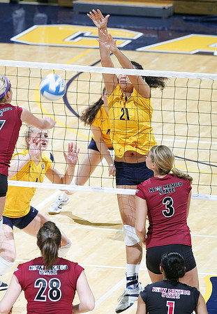 Cal Volleyball vs New Mexico