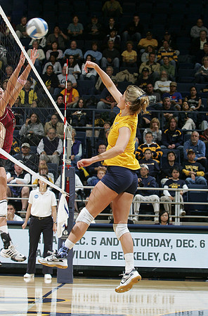 Cal Volleyball vs New Mexico