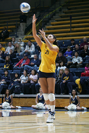 Cal Volleyball vs New Mexico