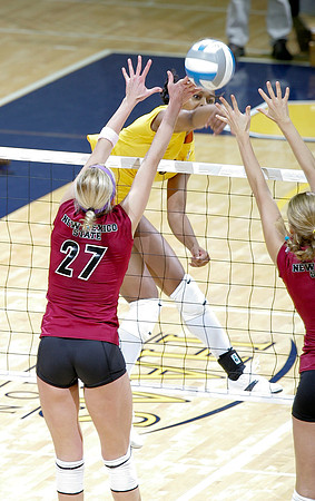 Cal Volleyball vs New Mexico