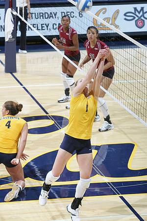 Cal Volleyball vs New Mexico