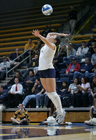 Cal Volleyball vs New Mexico