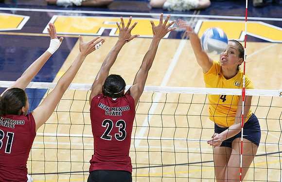 Cal Volleyball vs New Mexico