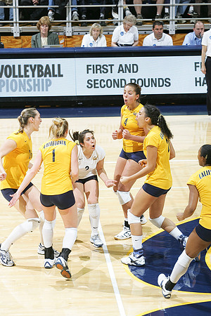Cal Volleyball vs New Mexico