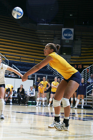 Cal Volleyball vs New Mexico
