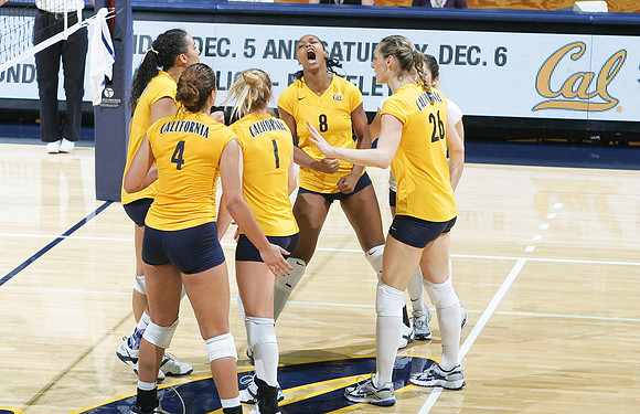 Cal Volleyball vs New Mexico