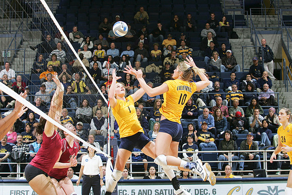 Cal Volleyball vs New Mexico