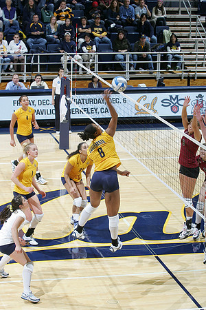 Cal Volleyball vs New Mexico