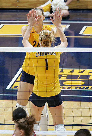Cal Volleyball vs New Mexico