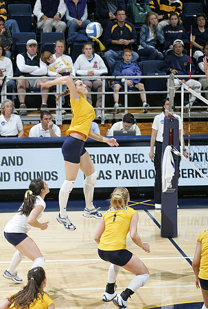 Cal Volleyball vs New Mexico