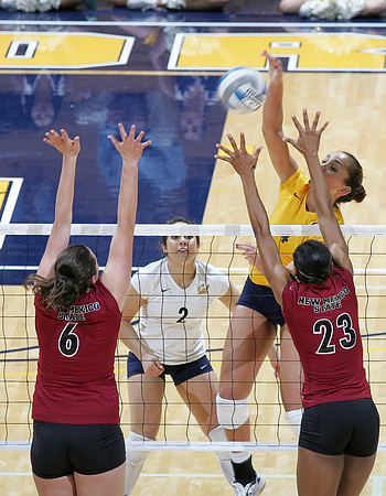 Cal Volleyball vs New Mexico
