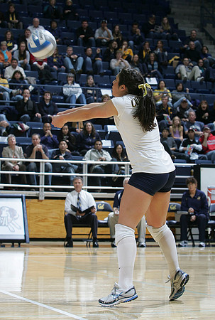 Cal Volleyball vs New Mexico