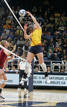Cal Volleyball vs New Mexico