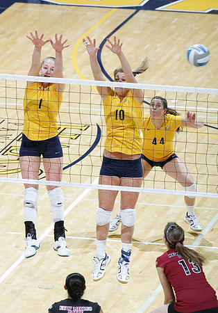 Cal Volleyball vs New Mexico