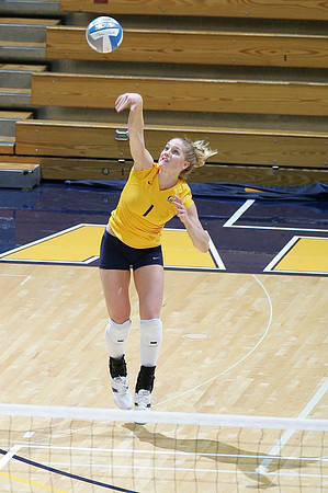 Cal Volleyball vs New Mexico