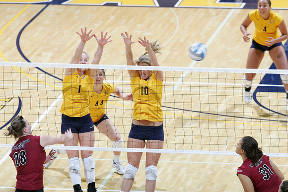 Cal Volleyball vs New Mexico