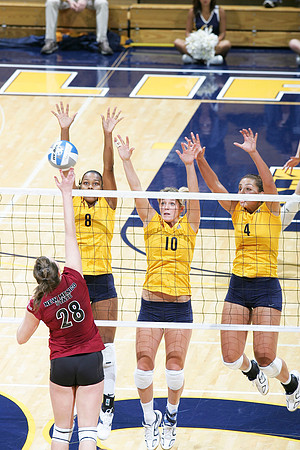 Cal Volleyball vs New Mexico