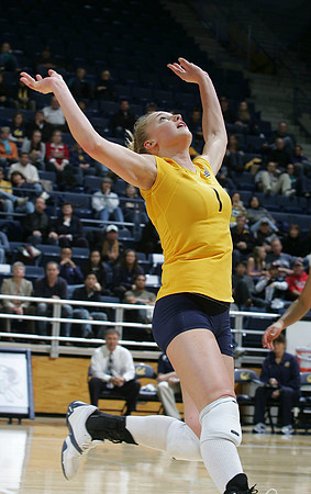 Cal Volleyball vs New Mexico