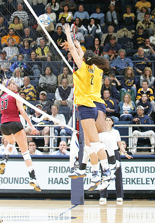 Cal Volleyball vs New Mexico
