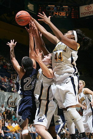 Cal Women's Basketball vs Nevada